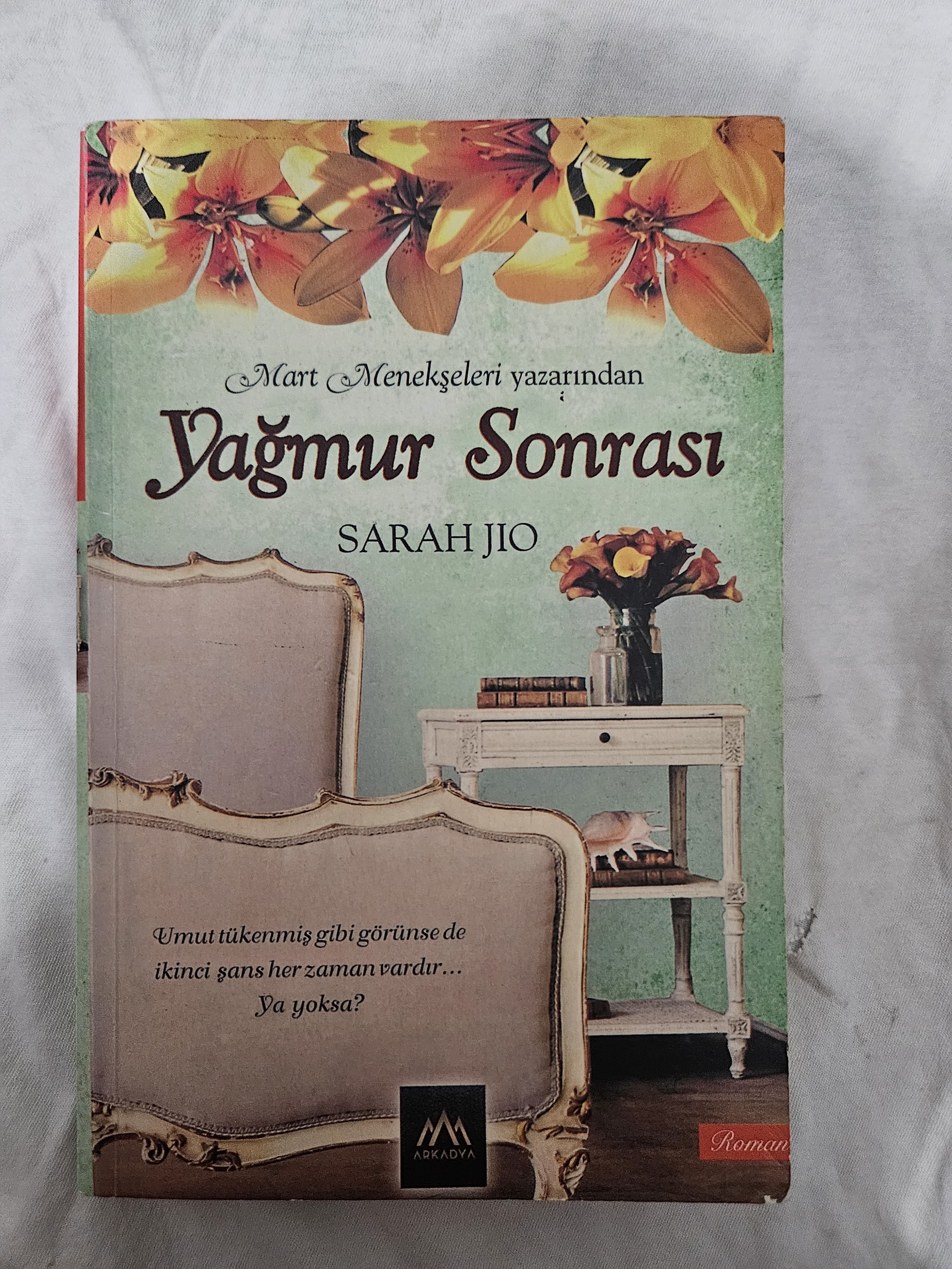 Yağmur  sonrasi ,roman