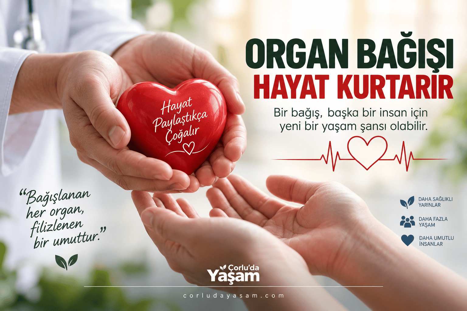 Organ Bağışı Nedir? Nasıl Yapılır? Kimler Organ Bağışı Yapabilir?