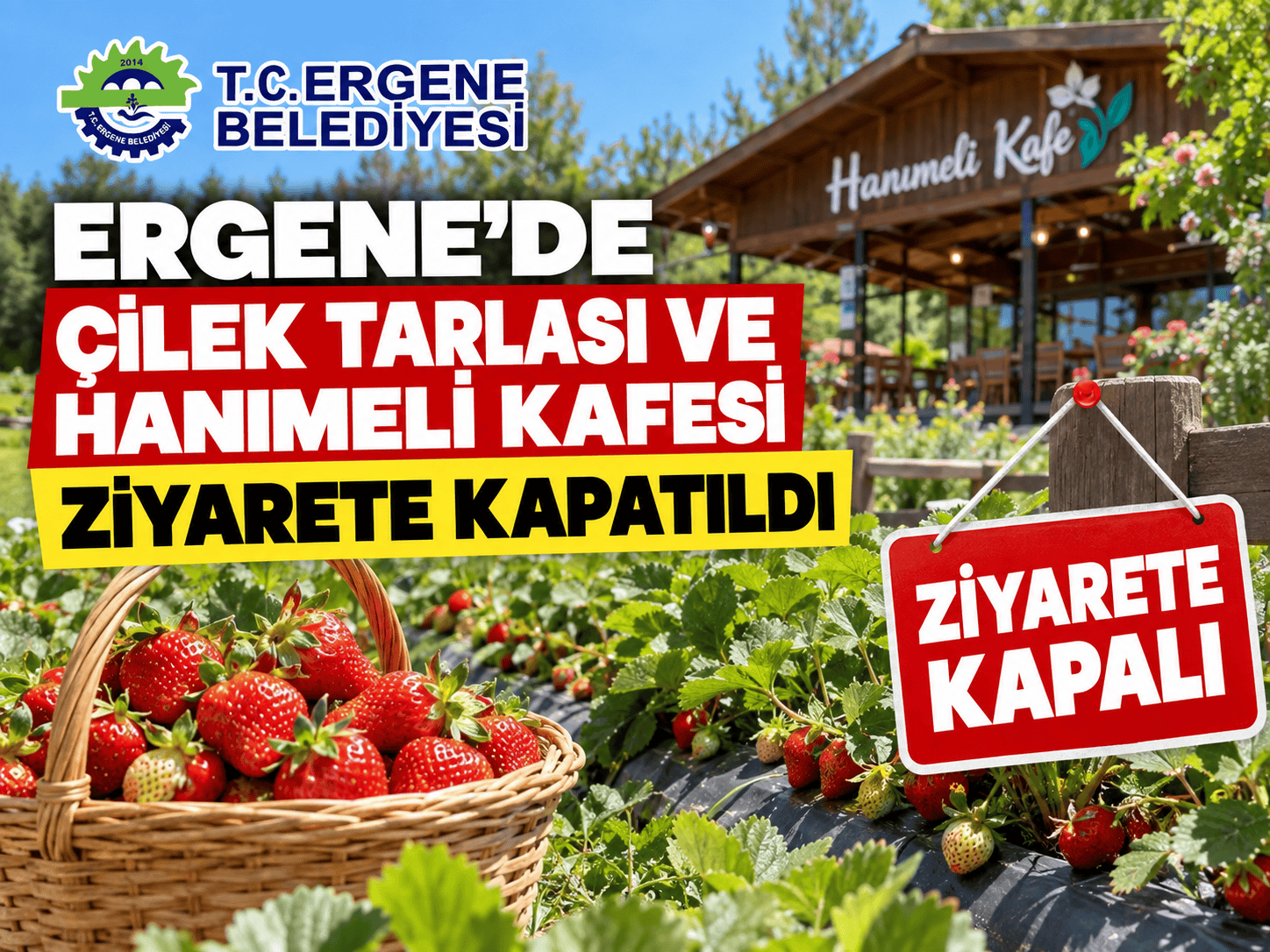 Ergene’de Çilek Tarlası ve Hanımeli Kafesi Ziyarete Kapatıldı