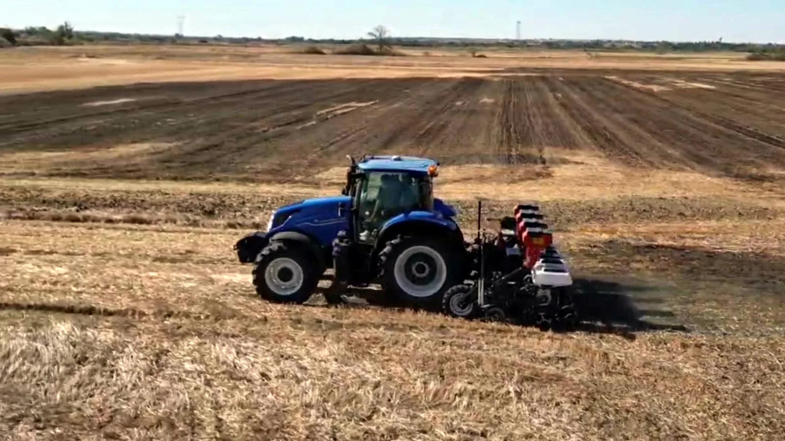 Tekirdağ'da 170 dönüm anıza kanalo ekildi — Tekirdağ
