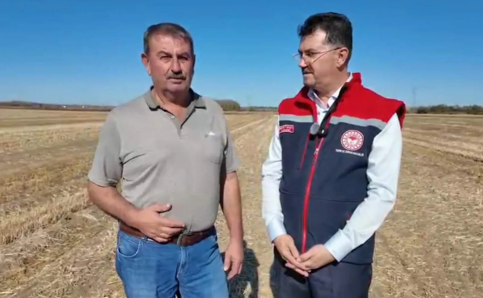 Tekirdağ'da 170 dönüm anıza kanalo ekildi — Tekirdağ