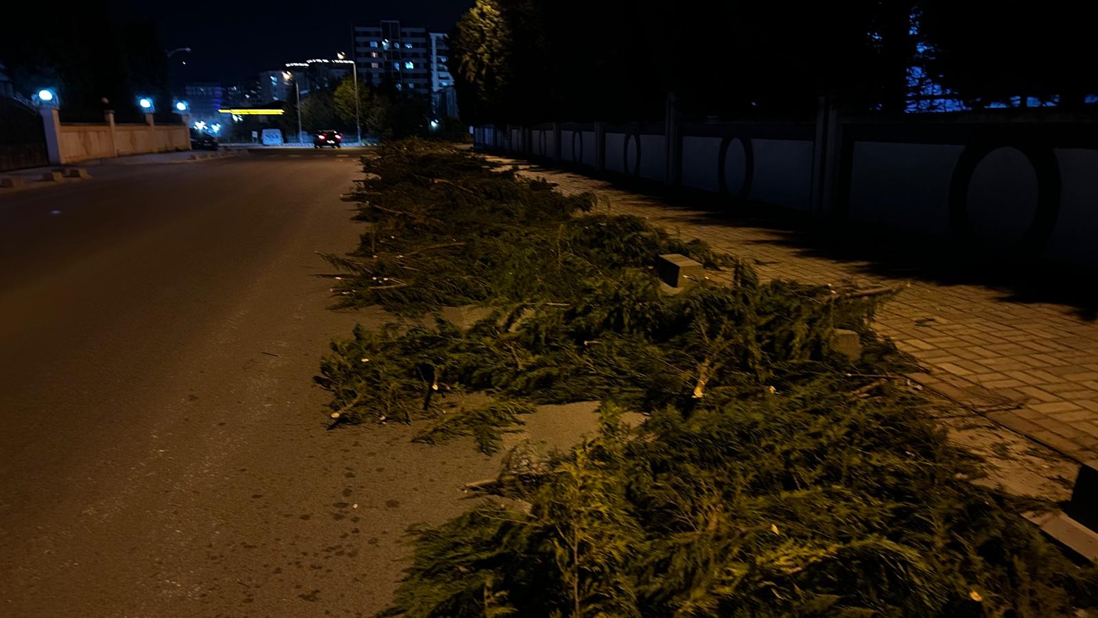 Çorlu’da Yol Kenarına Atılan Budama Atıkları Sürücüleri Zorluyor