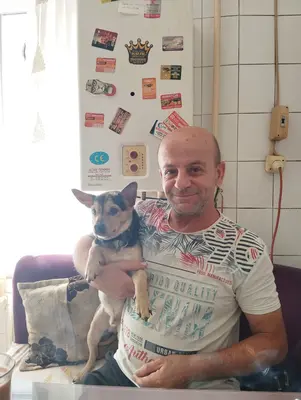 Kayıp köpek