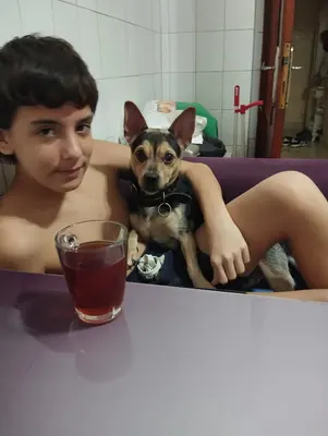 Kayıp köpek