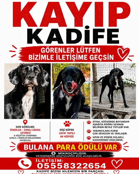 Kadife