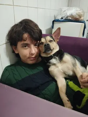 Kayıp köpek