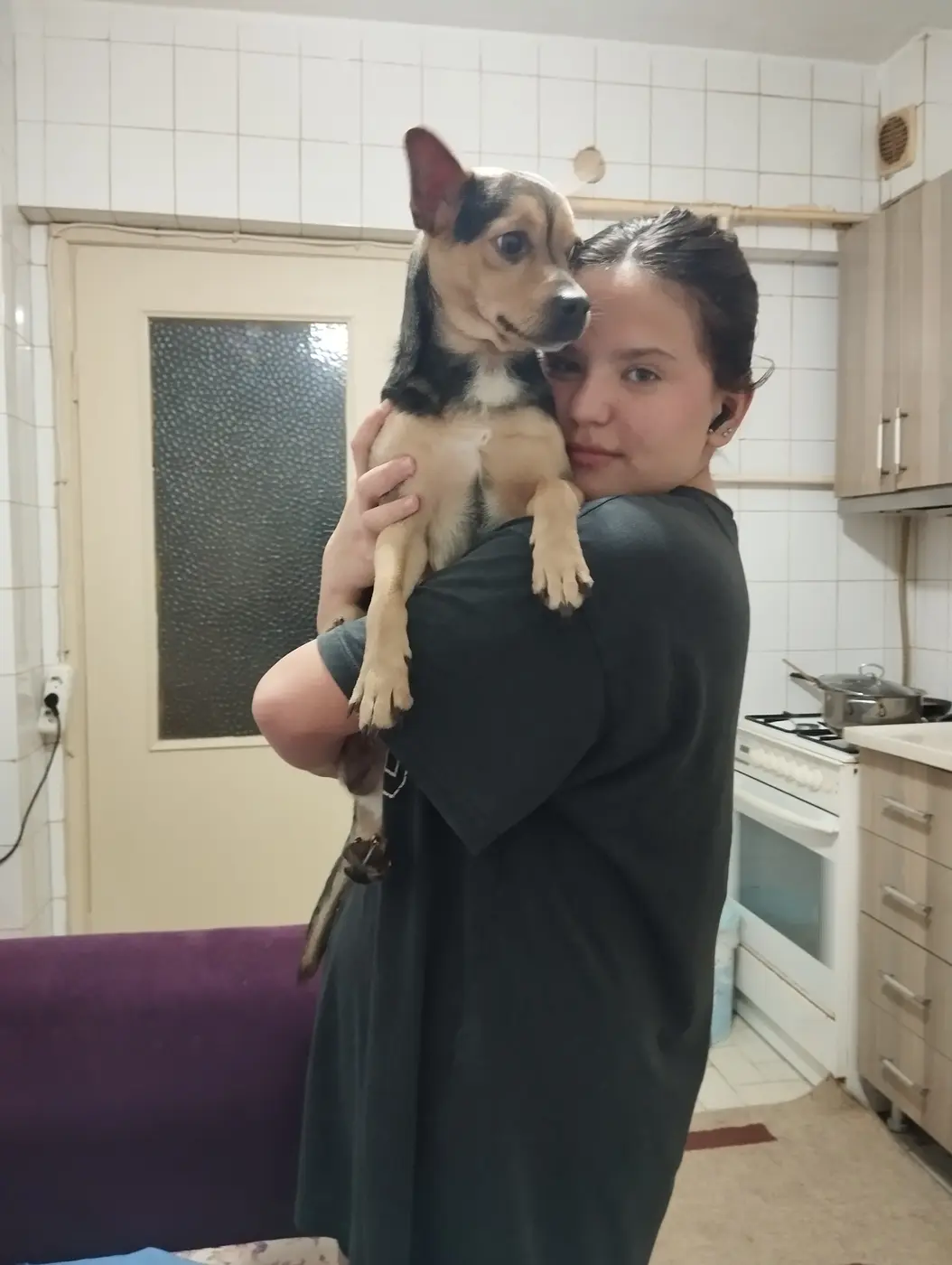 Gofret isimli köpek