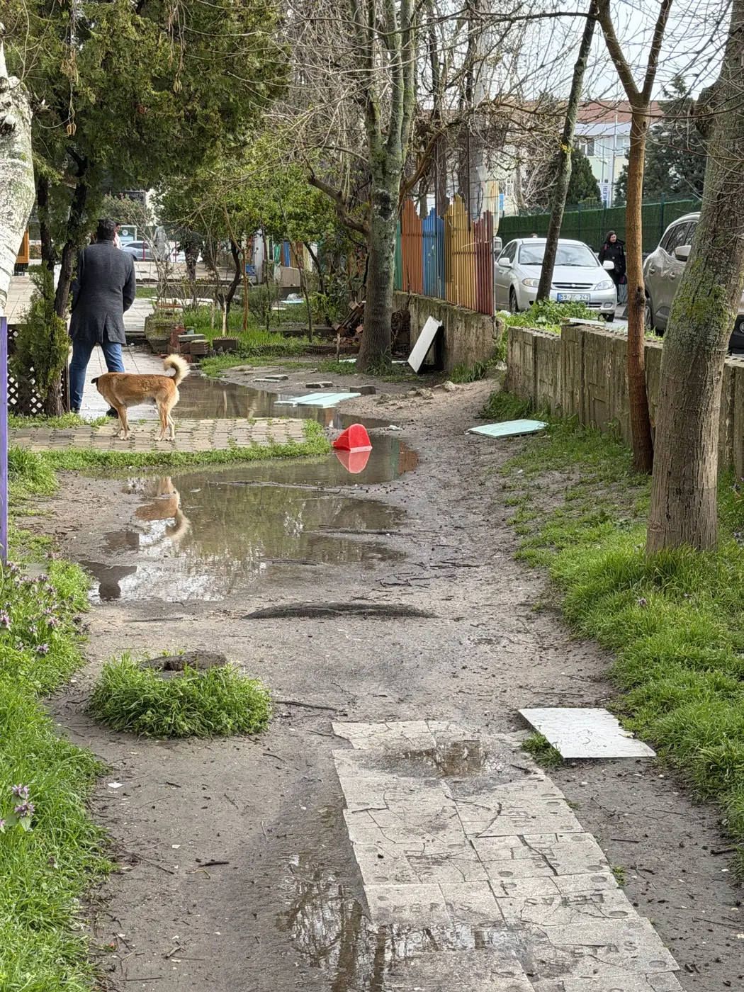 Yol ve Kaldırım, Esentepe Mahallesi