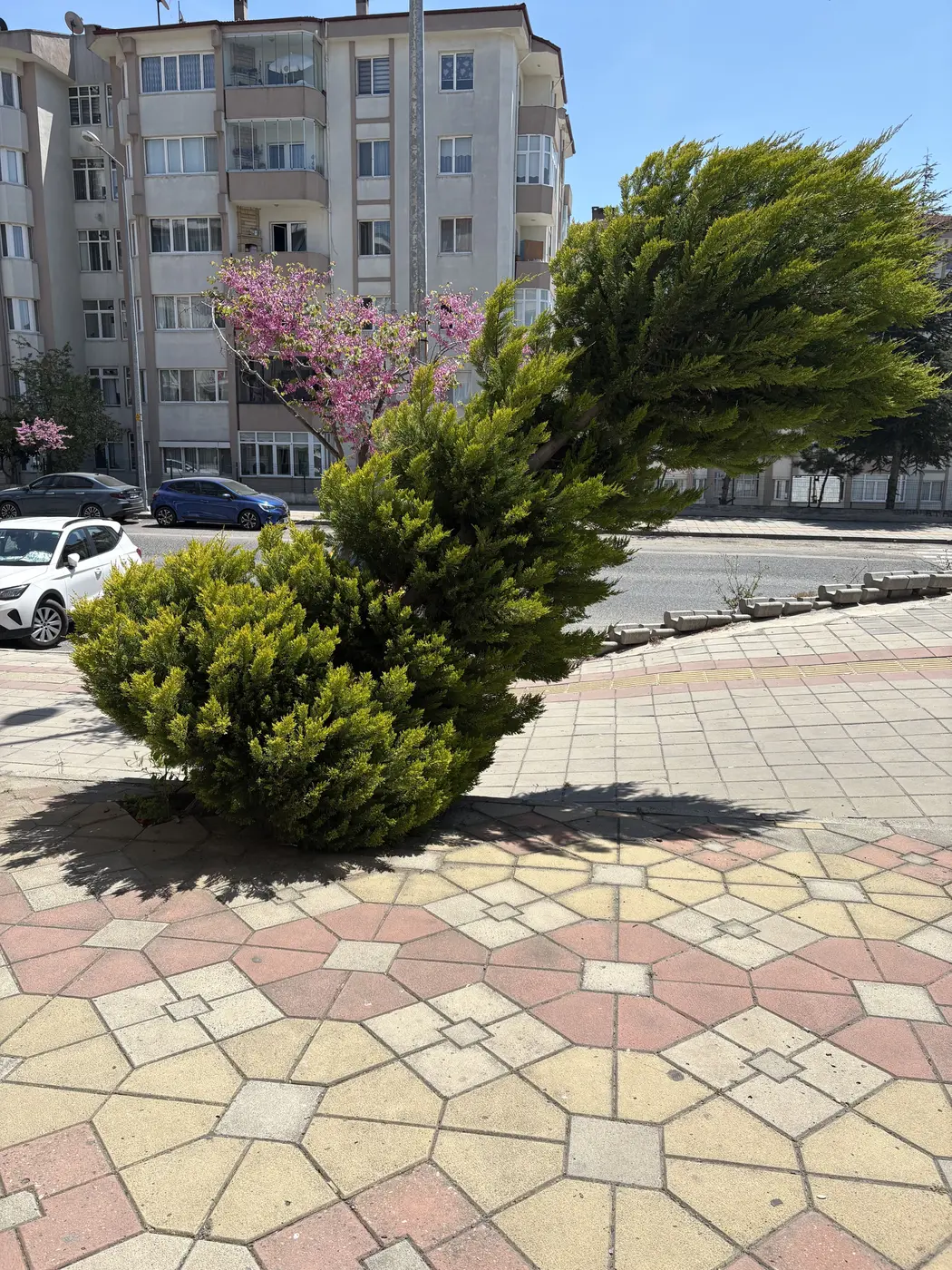 Park ve Bahçe