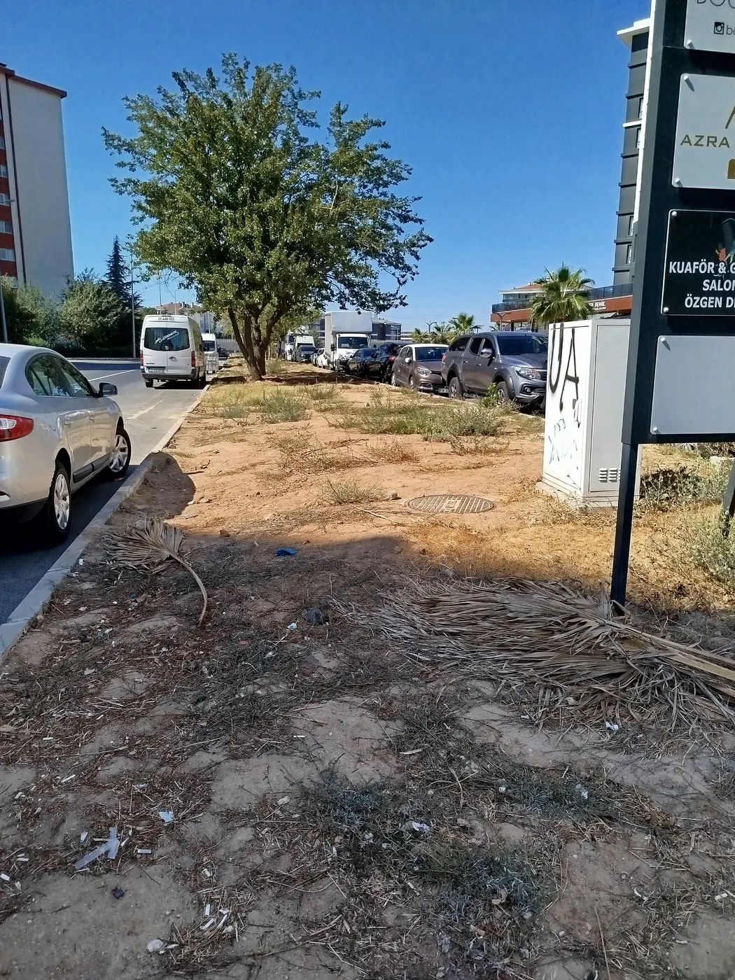 Çevre Temizliği, Esentepe Mahallesi
