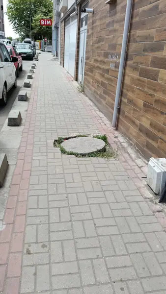 Yol ve Kaldırım: Ziya Gökalp Bulvarı, Önerler Mahallesi