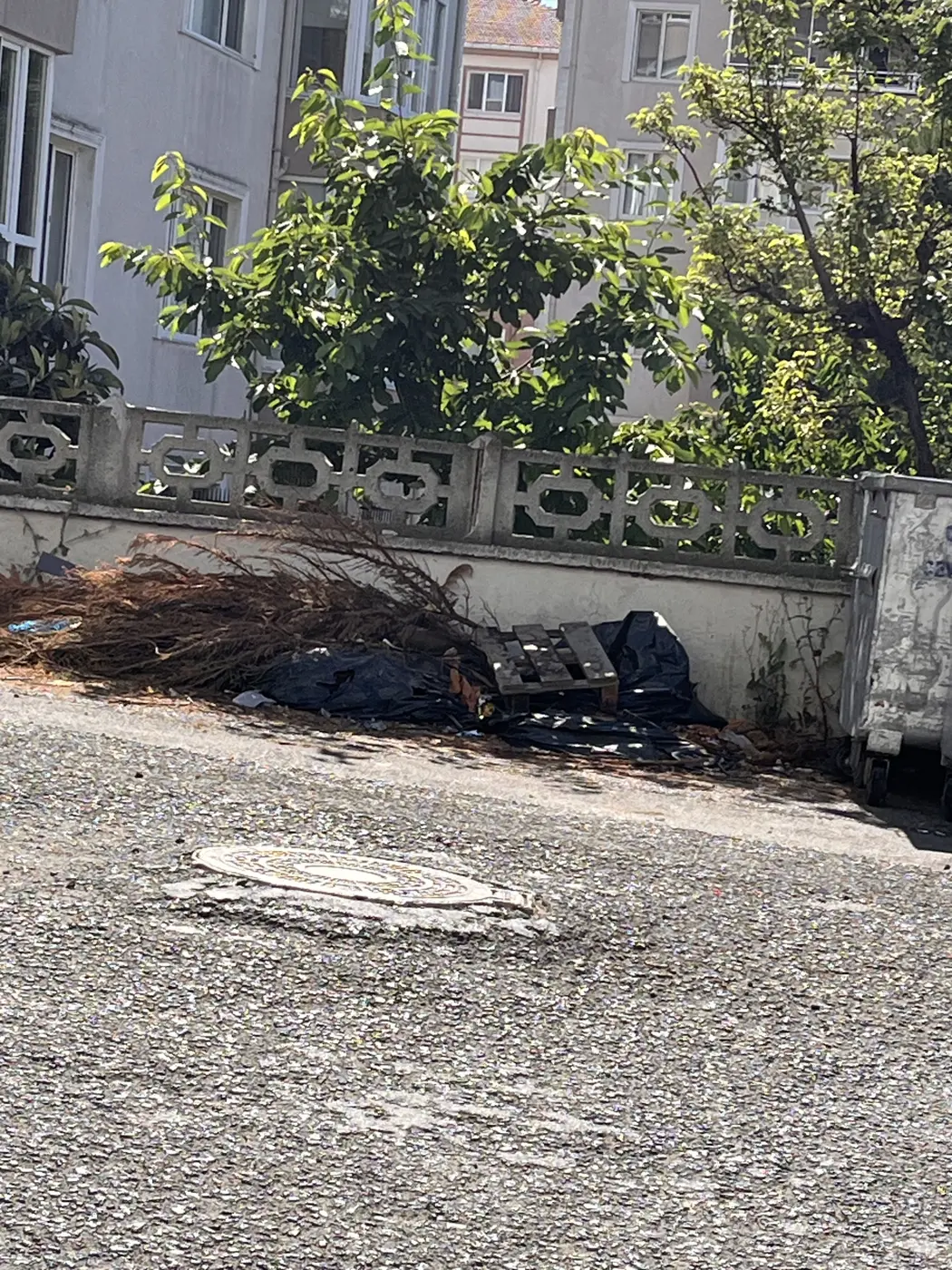 Çöp ve Temizlik, Reşadiye Mahallesi