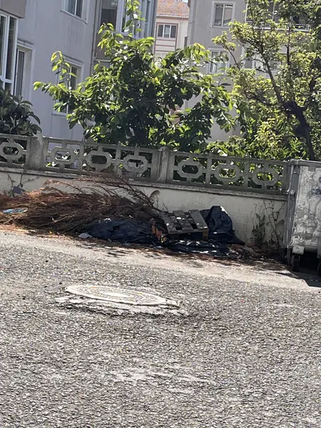Çöp ve Temizlik: Bağlariçi 3. Sokak, Reşadiye Mahallesi