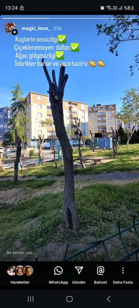 Park ve Bahçe: Bahriye Üçok Bulvarı, Muhittin Mahallesi