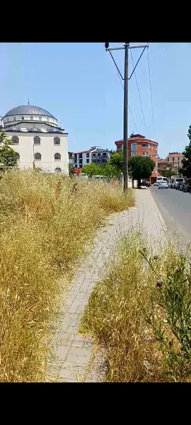 Park ve Bahçe: Akyel Sokak, Şeyhsinan Mahallesi