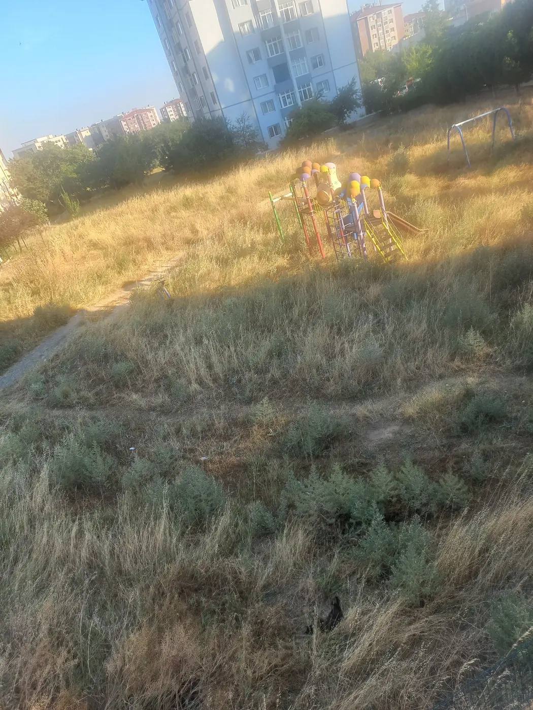 Park ve Bahçe