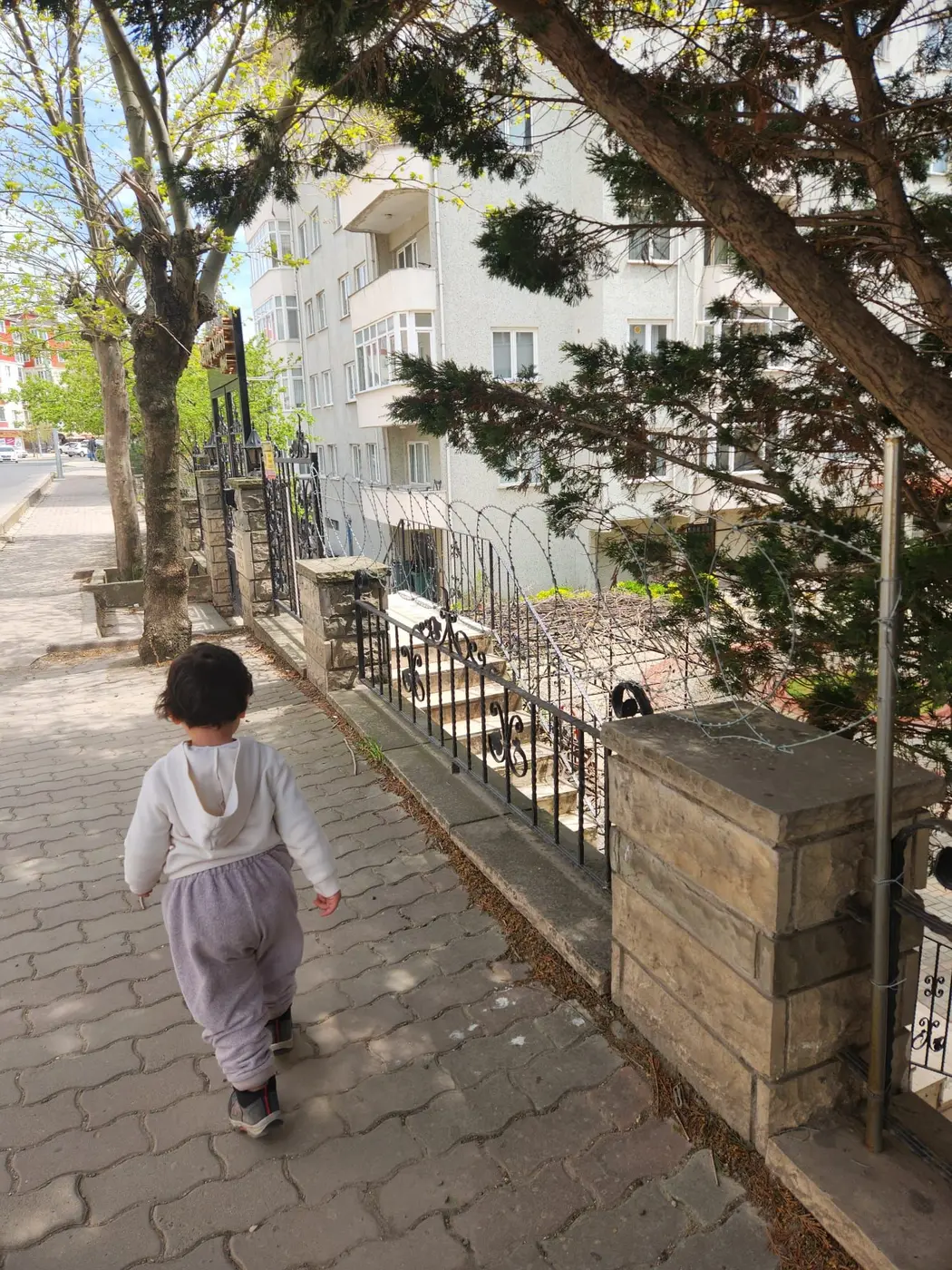 Diğer, Reşadiye Mahallesi