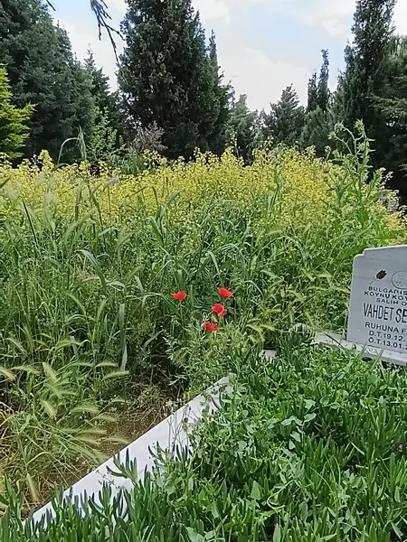 Cevre Temizliği: Bağlariçi 3. Sokak, Reşadiye Mahallesi