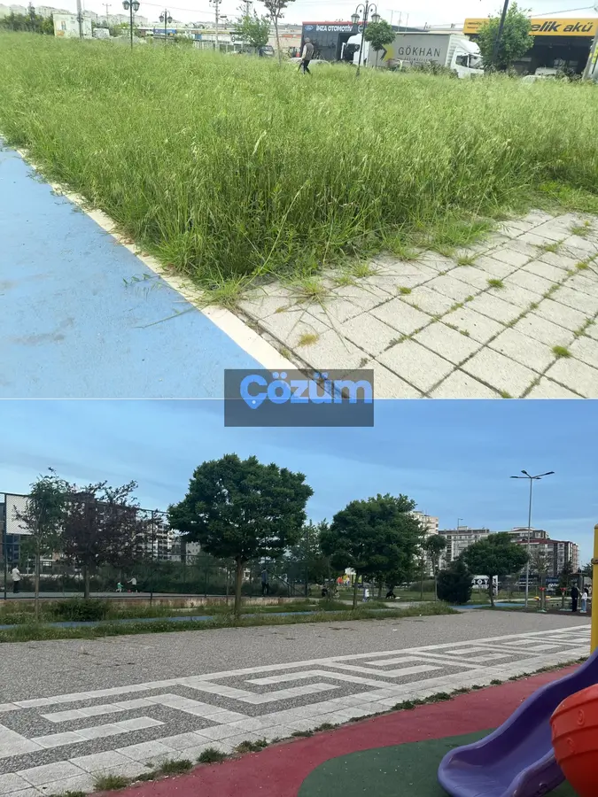 Park ve Bahçe, Zafer Mahallesi: sonra