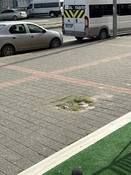 Yol ve Kaldırım: Atatürk Bulvarı, Muhittin Mahallesi