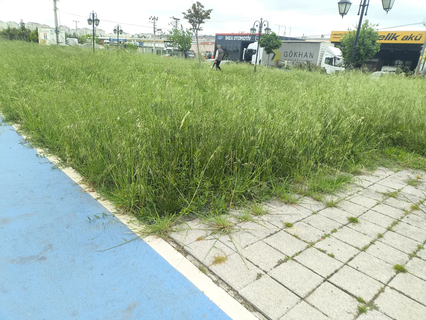 Park ve Bahçe, Zafer Mahallesi