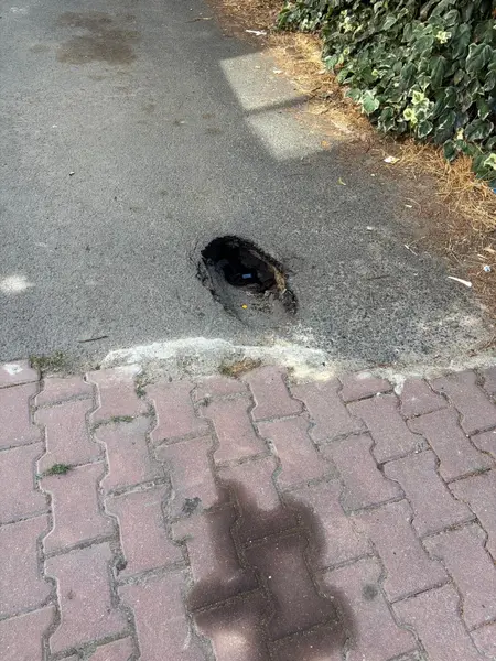 Yol ve Kaldırım: Şinasi Kurşun 7. Sokak, Muhittin Mahallesi