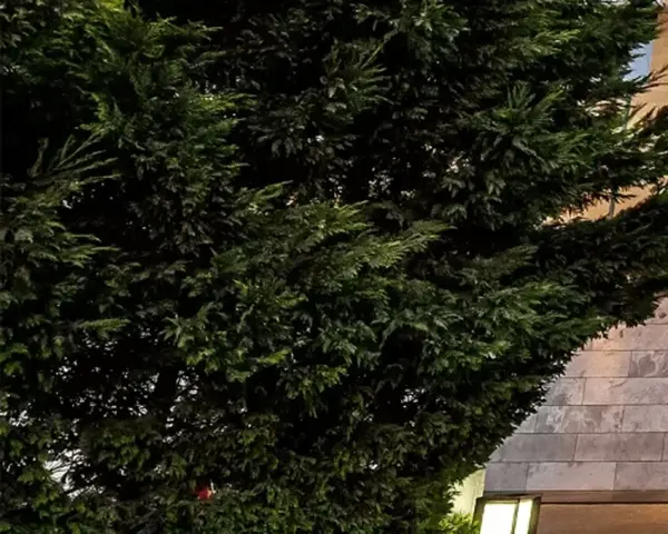 Özel Çorlu Vatan Hastanesi fotoğraf 2